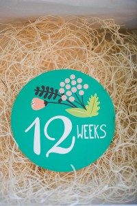 Baby Bump Gestational Sticker