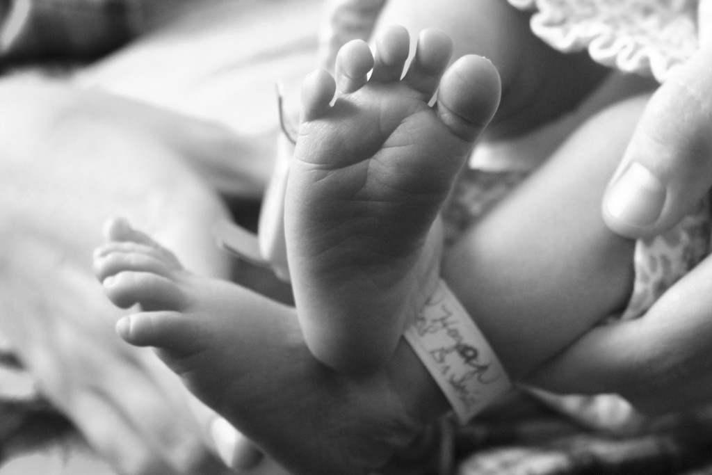 Mama Bird Box Pregnancy Gifts