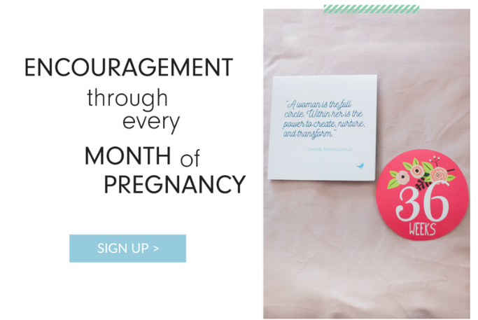 Sign up for Mama Bird Box